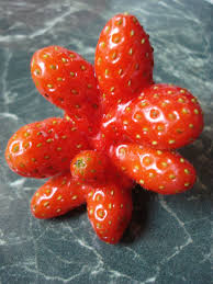 Funny shaped fruit