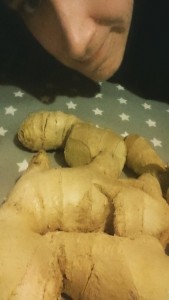 toomuchginger