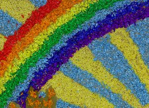 rainbowfood