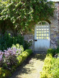 My walled garden