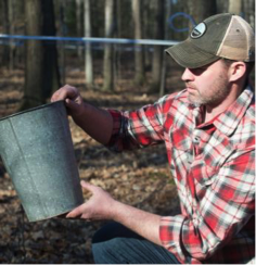Collecting maple water