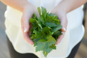Add herbs for flavour