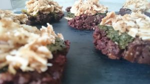 raw coconut bar