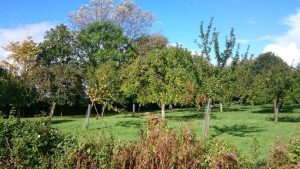 somerset-fitness-retreat
