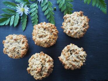 5 round flapjacks beside a fern leaf and 1 purple daisy head with a dark grey slate background