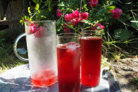 Iced tea jug an two glasses filled with red berry burst adagio iced tea. Sat on a grey tray with a pink rose bush in the background