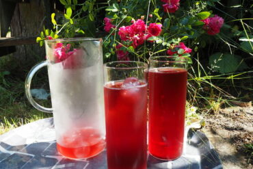Iced tea jug an two glasses filled with red berry burst adagio iced tea. Sat on a grey tray with a pink rose bush in the background