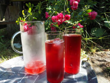 Iced tea jug an two glasses filled with red berry burst adagio iced tea. Sat on a grey tray with a pink rose bush in the background