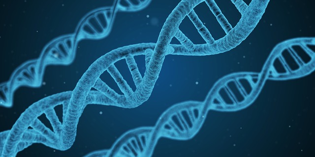 three blue strands of DNA