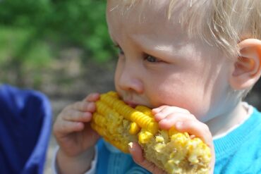 Close up of a blinde haired child about age 2 eating a corn on the cop - indicating children being raised as vegetarians