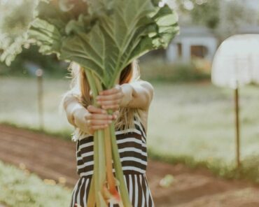 Blonde haired lady in a black and white striped dress holding out a bing bunch of rhubarb so that it covers her face. She looks as if she is stood in an allotment and is showing people how you can take better care of your health