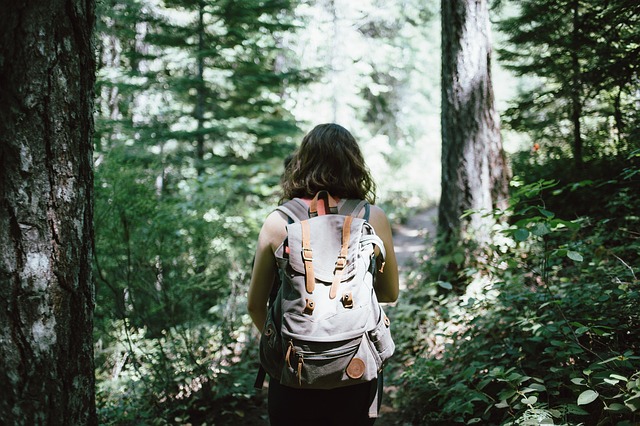 back of a long haired young brunette lady with a backpack on her back. She is going for a hike in a sunlit forest.