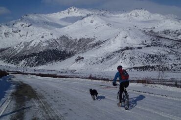 man on a bike with his dog on a lead in front of him. The background is white snowy hills.