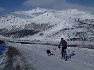man on a bike with his dog on a lead in front of him. The background is white snowy hills.