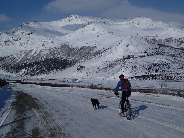man on a bike with his dog on a lead in front of him. The background is white snowy hills.