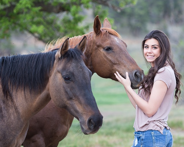 brunette girl in her twenties stood next to two brown horses