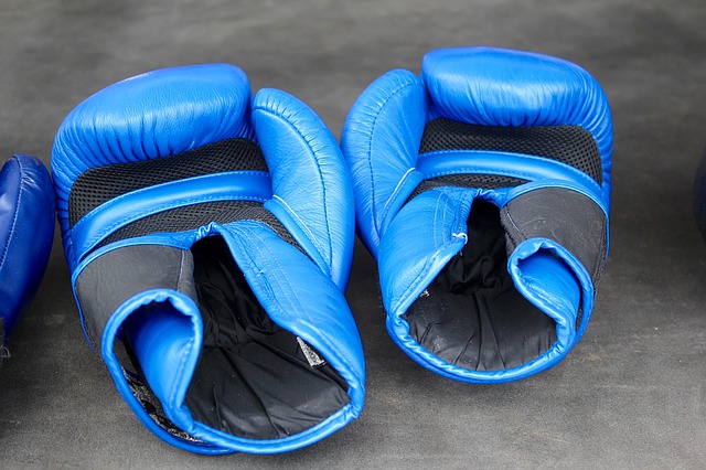 a pair of blue boxing gloves