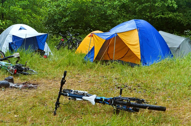 Two tents pitched in a long grass field with bikes on the ground in front of them