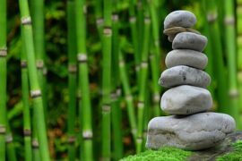 pile of grey stones stacked on top of one another with rows of green bamboo in the background. It represents creating a wellness sanctuary in your own back garden to reap the health and wellness benefits.