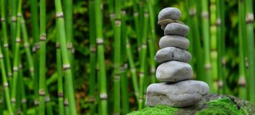 pile of grey stones stacked on top of one another with rows of green bamboo in the background. It represents creating a wellness sanctuary in your own back garden to reap the health and wellness benefits.