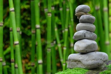 pile of grey stones stacked on top of one another with rows of green bamboo in the background. It represents creating a wellness sanctuary in your own back garden to reap the health and wellness benefits.