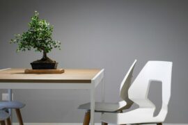Table and two white wooden chairs that are representing eco friendly living. There is a bonsai tree on the table.
