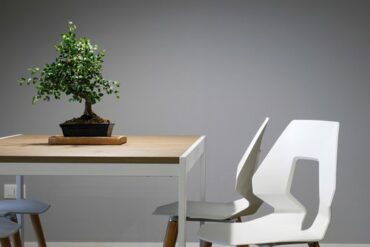 Table and two white wooden chairs that are representing eco friendly living. There is a bonsai tree on the table.