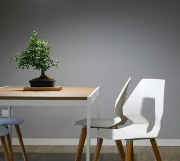 Table and two white wooden chairs that are representing eco friendly living. There is a bonsai tree on the table.