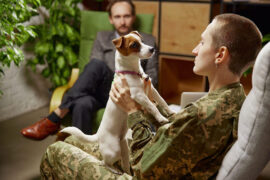 service dog calming soldier