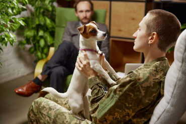 service dog calming soldier
