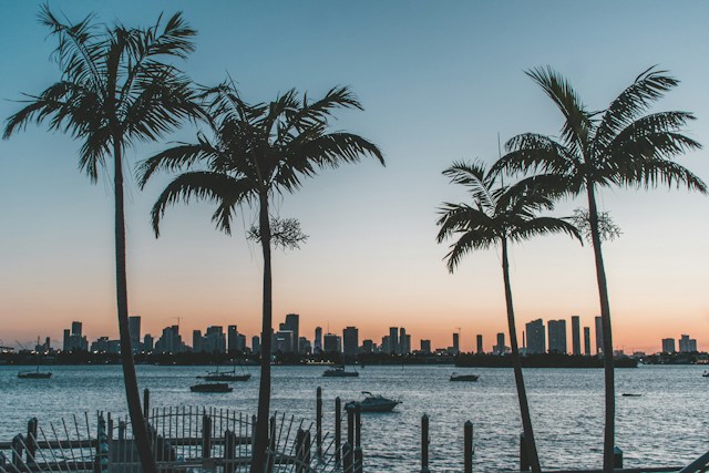 Florida should be your top choice when going to drug rehab due to its proximity to water and nature